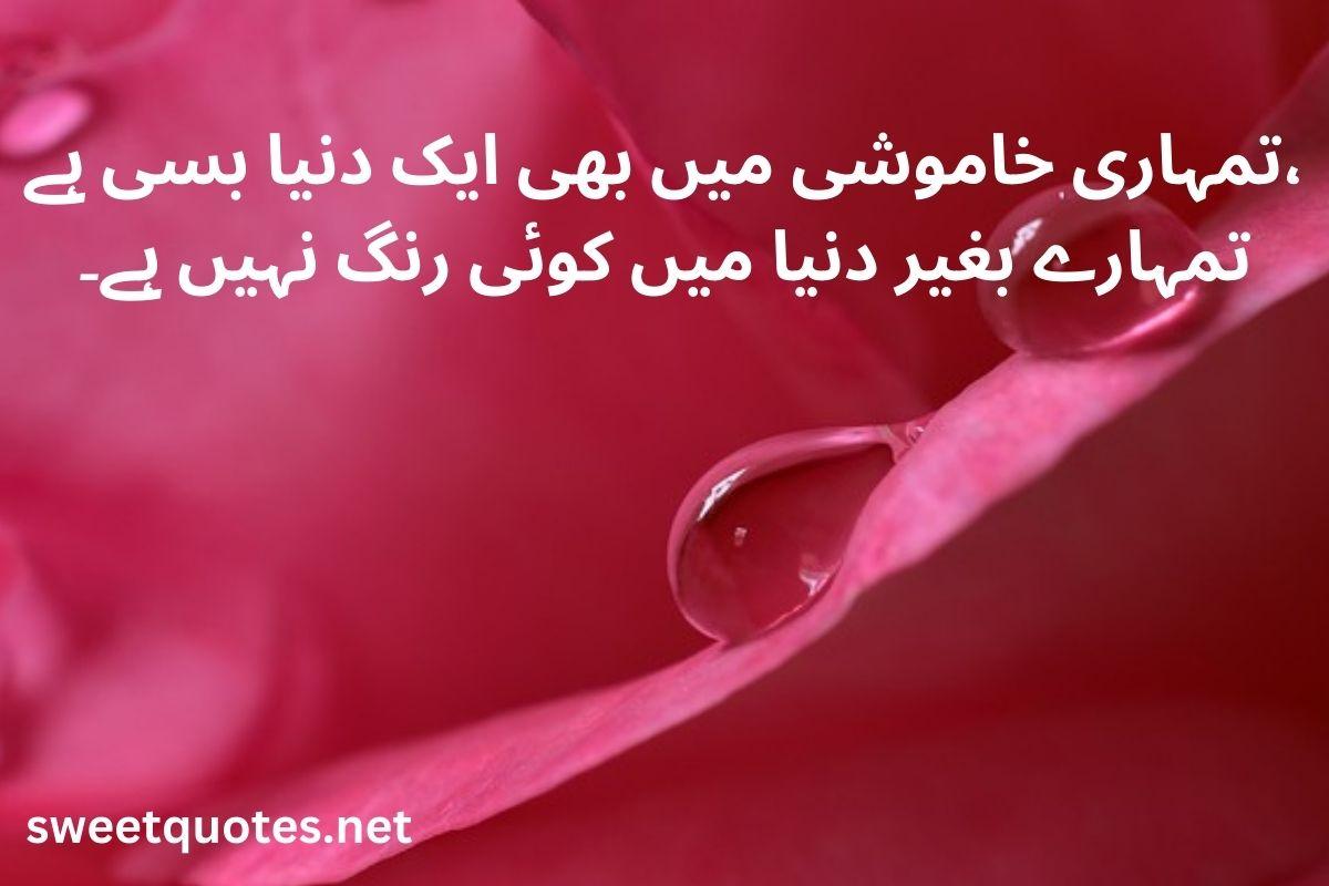 poetry in Urdu love
